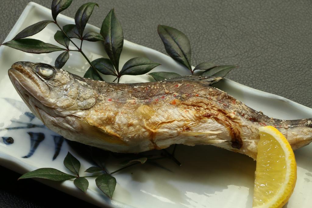 Minshuku Shiroyama Hotel Taketa Ngoại thất bức ảnh